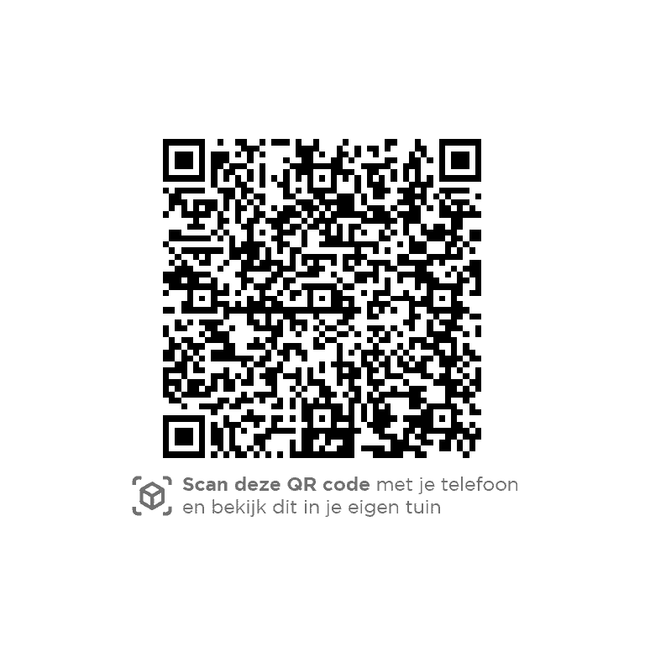 4 Seasons Outdoor Oriënt loungeset + center + Ambassador hoge salontafel