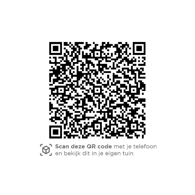 4 Seasons Outdoor Parasol Siesta Premium 300 x 300 cm charcoal