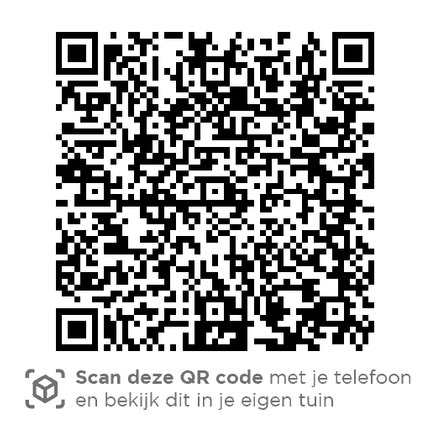 4 Seasons Outdoor Oriënt loungeset + center + Ambassador hoge salontafel