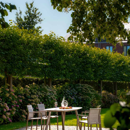 Taste 4SO Cortina dining + Manolo tafel terre met geprint keramiek tafelblad 180 cm - Image 3
