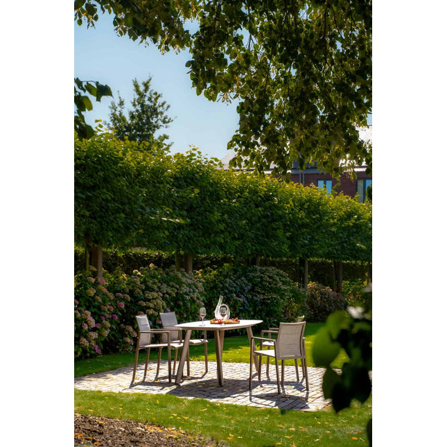 Taste 4SO Cortina dining + Manolo tafel terre met geprint keramiek tafelblad 180 cm - Image 3
