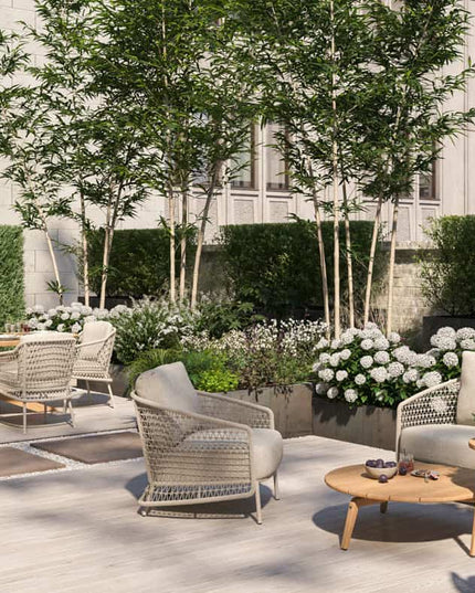 4 Seasons Outdoor Puccini dining + Taste 4SO Prado teak tafel ovaal 240 cm